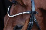 schockemhle-siena-browband-FktyGbJT-0.webp