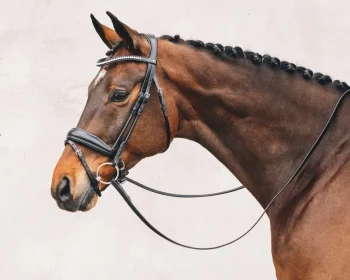 Discount SCHOCKEMOEHLE N.A. Schockemöhle Malibu Bridle