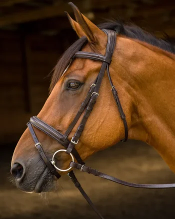 Fashion SHIRES EQUESTRIAN Shires Avignon Louisville Bridle