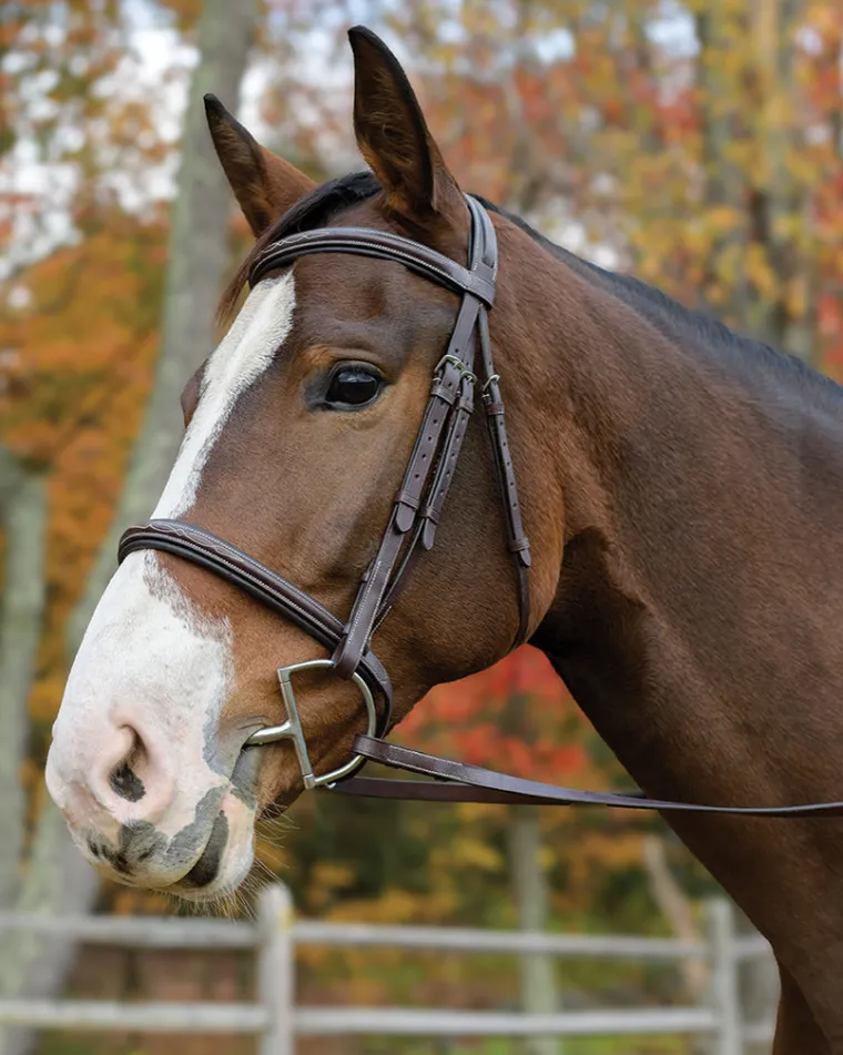 shires-avignon-nashville-bridl-ubRCnoqc-0.webp Best SHIRES EQUESTRIAN Shires Avignon Nashville Bridle Havana