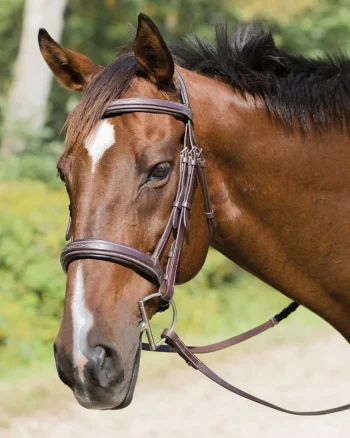 Sale SHIRES EQUESTRIAN Shires Avignon Wellington Bridle Havana