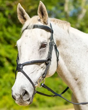 Hot SHIRES EQUESTRIAN Shires Avignon Woodside Bridle