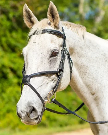 Hot SHIRES EQUESTRIAN Shires Avignon Woodside Bridle