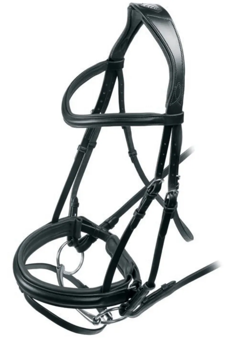 shires-velociti-rapida-dressag-OKxeQYfh-0.webp Best SHIRES EQUESTRIAN Shires Velociti Rapida Dressage Flash Bridle Black