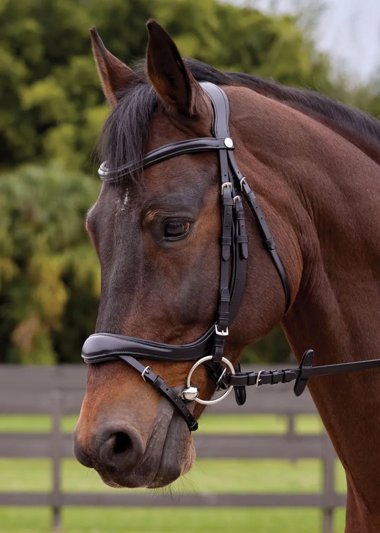 showmark-ergonomic-flash-bridl-cBTfaQNo-1.webp Clearance GLOBAL EXPORTS Showmark® Ergonomic Flash Bridle