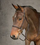 showmark-premier-hunter-bridle-qxgtPiae-0.webp