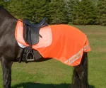 Hot SHIRES EQUESTRIAN Shires Equi-Flector® Exercise Sheet Orange