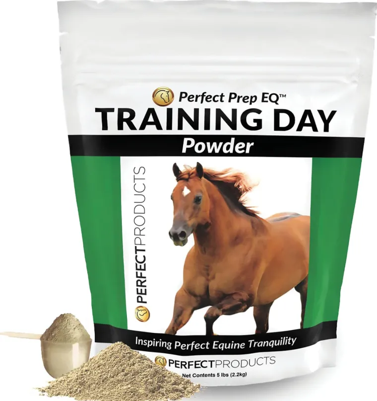 sshNTWNk_0.webp Fashion PERFECT PRODUCTS Perfect Prep EQ™ Training Day™