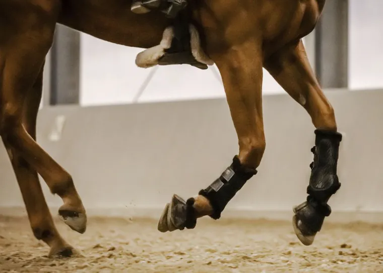 stbben-airflow-fleece-lined-br-NfIUeWQU-3.webp Outlet STUBBEN N.A. Stübben Airflow Fleece-Lined Brushing Boots