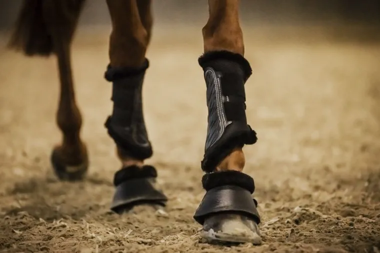 stbben-airflow-fleece-lined-br-NfIUeWQU-4.webp Outlet STUBBEN N.A. Stübben Airflow Fleece-Lined Brushing Boots