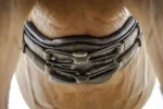 stbben-equi-soft-girth-KkVuSuCL-0.webp