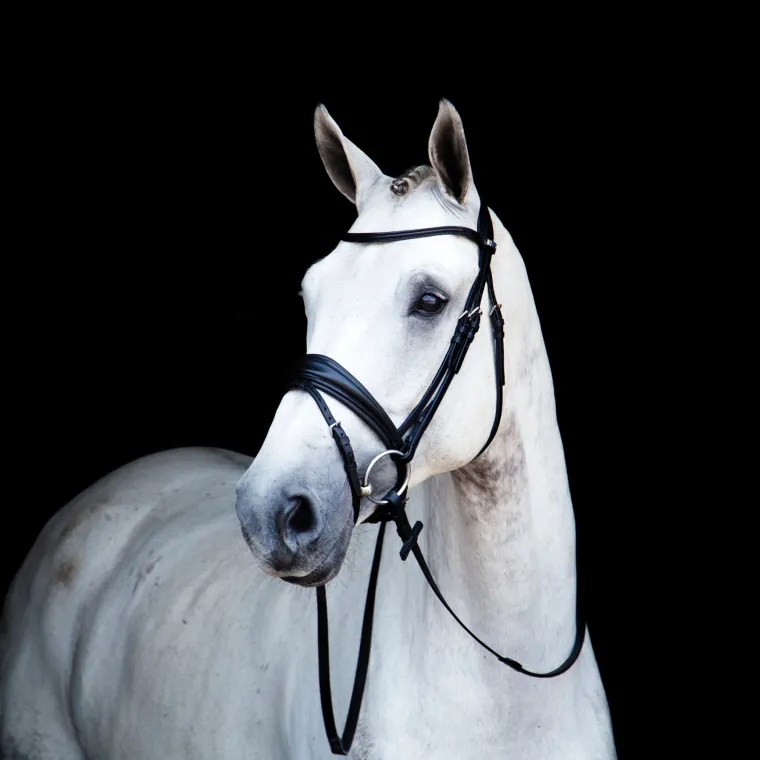 stbben-switch-combo-bridle-gmfoObes-0.webp New STUBBEN N.A. Stübben Switch Combo Bridle Black/Black