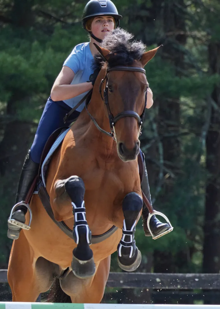 stride-open-front-tendon-boots-wjRCAfAR-5.webp Online JONE SHOU INDUSTRIAL Stride™ Open-Front Tendon Boots Black