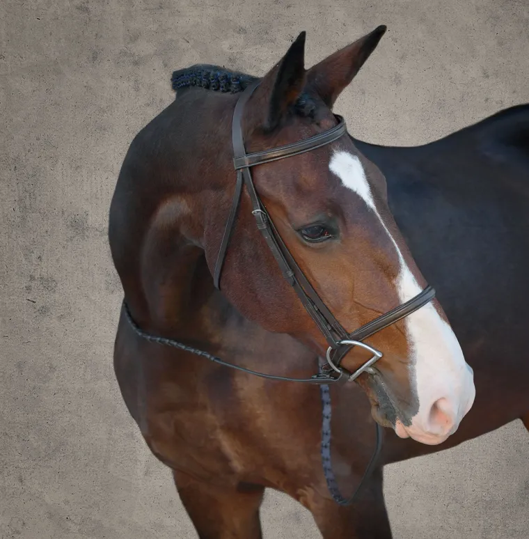 suffolk-classic-hunter-bridle-AwIcgXds-0.webp Fashion KINGS INTERNATIONAL Suffolk™ Classic Hunter Bridle Brown