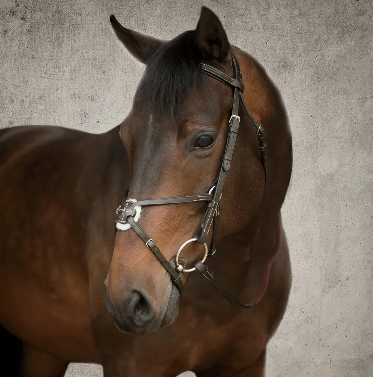 suffolk-figure-8-bridle-sQdNoBrv-0.webp Clearance KINGS INTERNATIONAL Suffolk™ Figure-8 Bridle Brown