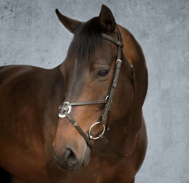 suffolk-figure-8-bridle-sQdNoBrv-1.webp Clearance KINGS INTERNATIONAL Suffolk™ Figure-8 Bridle Brown