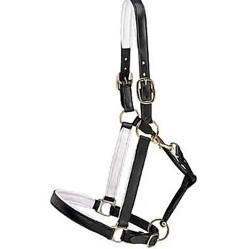 New KINGS INTERNATIONAL Suffolk™ Lined Halter