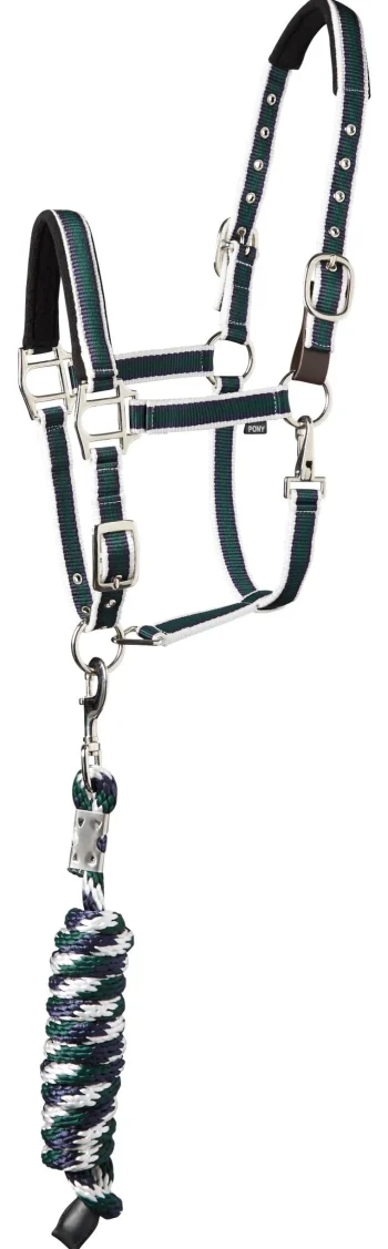 Online TEXT HORSE Suffolk™ Padded Striped Breakaway Halter & Lead