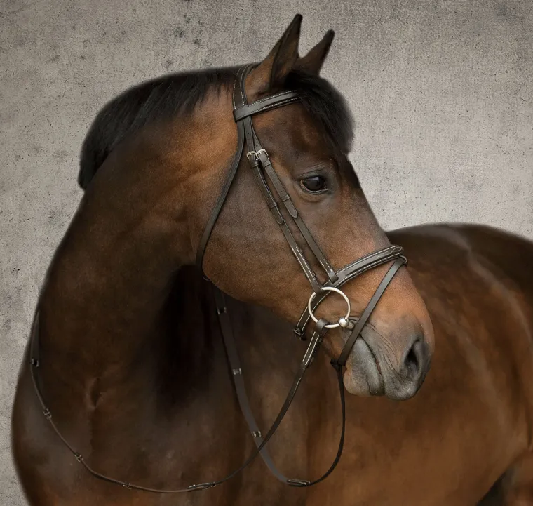 suffolk-single-crown-flash-bri-CQyBBhBH-1.webp Best KINGS INTERNATIONAL Suffolk™ Single Crown Flash Bridle Brown