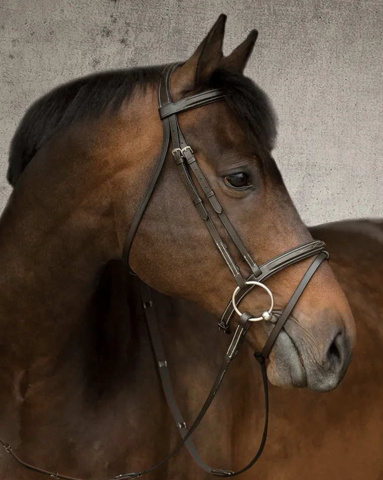 suffolk-single-crown-flash-bri-CQyBBhBH-2.webp Best KINGS INTERNATIONAL Suffolk™ Single Crown Flash Bridle Brown