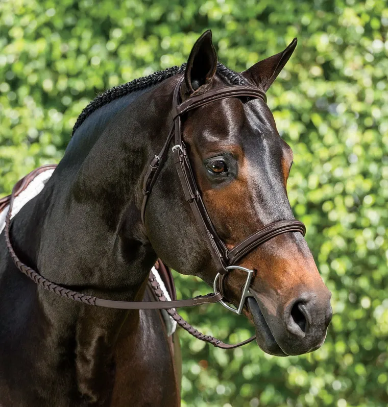 suffolk-single-crown-hunter-br-SMdDrQHF-2.webp Online KINGS INTERNATIONAL Suffolk™ Single Crown Hunter Bridle Oakbark