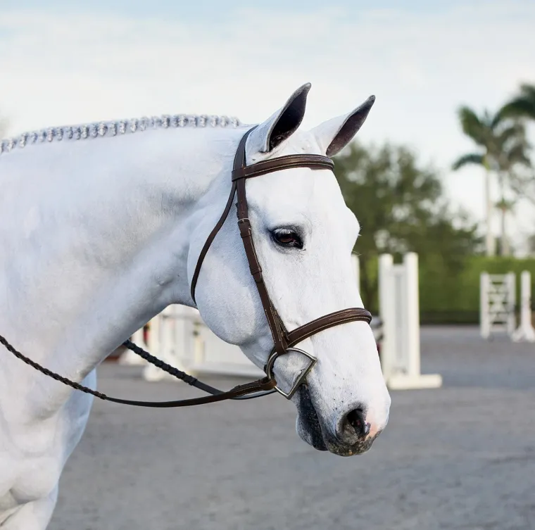 suffolk-single-crown-hunter-br-SMdDrQHF-4.webp Online KINGS INTERNATIONAL Suffolk™ Single Crown Hunter Bridle Oakbark