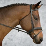 New KINGS INTERNATIONAL Suffolk™ Single Crown Padded Dressage Bridle