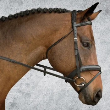 New KINGS INTERNATIONAL Suffolk™ Single Crown Padded Dressage Bridle