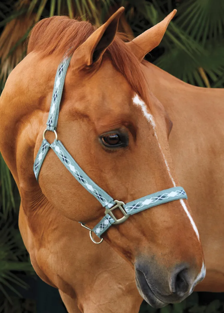 suffolk-woven-argyle-breakaway-KdILBetm-4.webp New TEXT HORSE Suffolk™ Woven Argyle Breakaway Halter