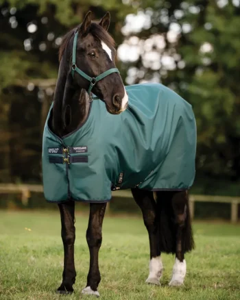 Discount HORSEWARE ® Ireland Amigo® Ripstop 900D 100 Gram Standard Neck Turnout