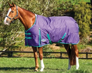 New WEATHERBEETA ® ComFiTec™ Essential Solid Medium Weight Turnout Blanket