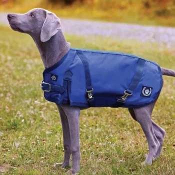 New CWEAR BRANCH NorthWind™ Dog Turnout Blanket