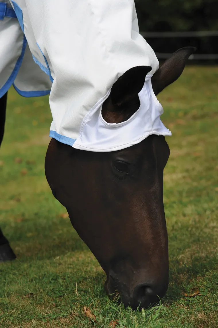 tJLqIyEB_3.webp Clearance WEATHERBEETA ® Sweet Itch Shield with Combo Neck White/Blue