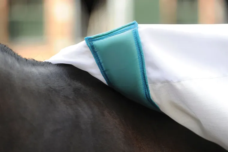 tJLqIyEB_7.webp Clearance WEATHERBEETA ® Sweet Itch Shield with Combo Neck White/Blue