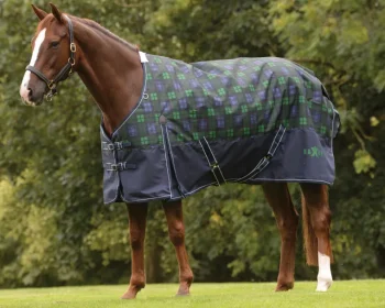 Sale WEATHERBEETA Saxon 1200D Medium-Weight Blanket with Gussets & Standard Neck II