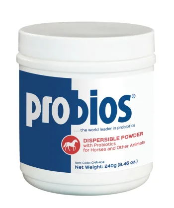 New ANIMAL HEALTH INT Probios® Powder Digestive Supplement