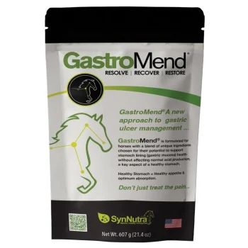 Best SYNNUTRA EQUINE ® GastroMend® Powder
