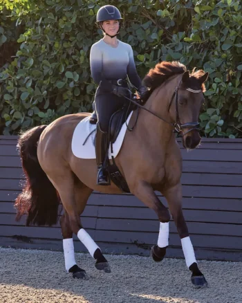 Outlet TKEQ THE SHOP TKEQ Ladies’ Kennedy Seamless Long Sleeve Top 2.0