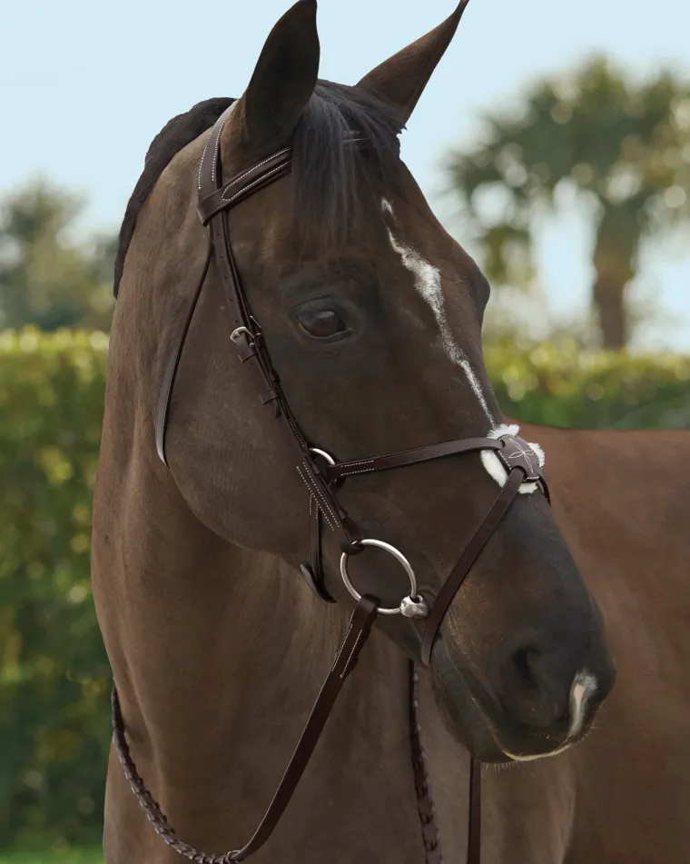 tru-fit-build-a-bridle-figure-vPMAvhhU-2.webp Sale KINGS INTERNATIONAL TRU-Fit™ Build-A-Bridle™ Figure-8 Noseband Chocolate