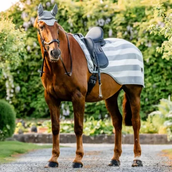 Clearance HORSEWARE ® Ireland Newmarket Exercise Sheet