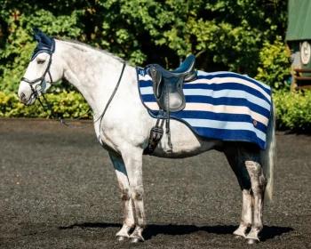 Clearance HORSEWARE ® Ireland Newmarket Exercise Sheet