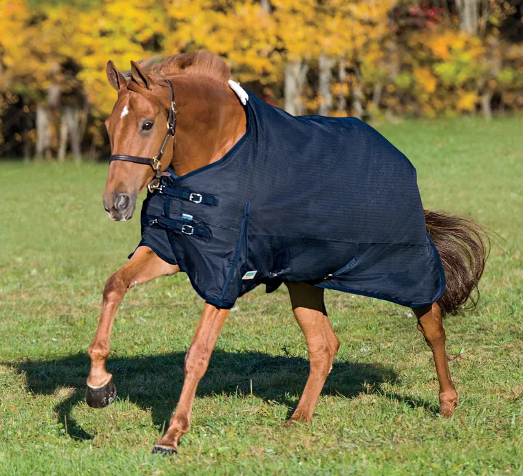 uFelFOzr_1.webp Hot CWEAR BRANCH Rider’s International™ Supreme Turnout Sheet
