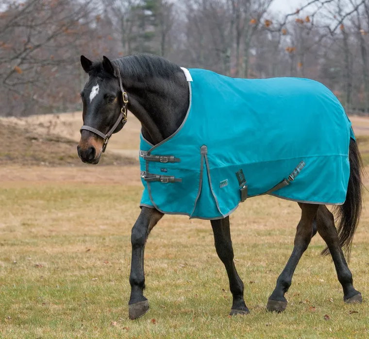 uFelFOzr_2.webp Hot CWEAR BRANCH Rider’s International™ Supreme Turnout Sheet