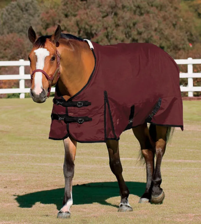 uFelFOzr_3.webp Hot CWEAR BRANCH Rider’s International™ Supreme Turnout Sheet