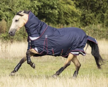 Clearance HORSE HEALTH TRADE LeMieux® Kudos 100 Gram Turnout Blanket with Leg Straps Navy
