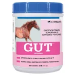 Clearance SMARTPAK GUT™ Powder by SmartEquine™ - 2 lbs