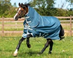 Online HORSEWARE ® Ireland Amigo® AmEco 12 Plus Lightweight Turnout Blanket Teal/Grey