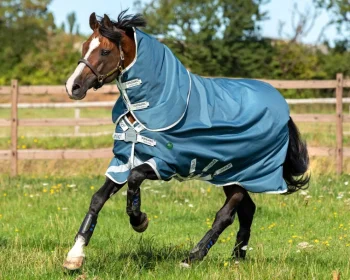 Online HORSEWARE ® Ireland Amigo® AmEco 12 Plus Lightweight Turnout Blanket Teal/Grey