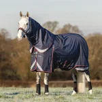 Best HORSE HEALTH TRADE LeMieux® Kudos 200 Gram Turnout Blanket with Leg Straps Navy