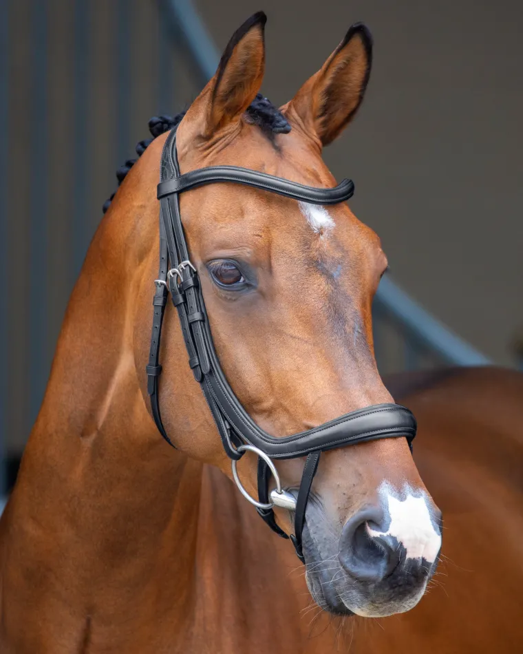 velociti-lusso-ergonomic-curve-ROUEtWPN-0.webp Hot SHIRES EQUESTRIAN Velociti Lusso Ergonomic Curved Flash Bridle